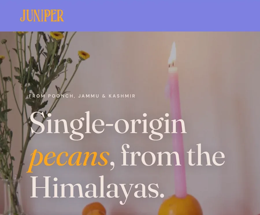 The top of the Juniper home page: the saffron wordmark on a lavender bar, and the headline Single-origin pecans, from the Himalayas in cream with pecans in italic saffron, over a photograph with a pink candle in an orange
