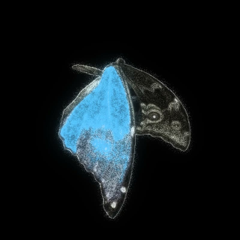 A butterfly drawn in fine dust and glowing light on a black field